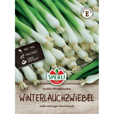 83682 – Allium fistulosum "Freddy"