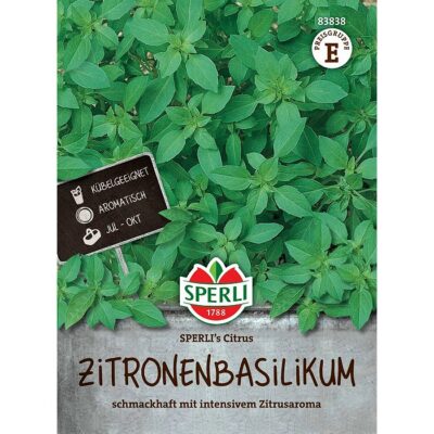 83838 - Ocimun basilicum