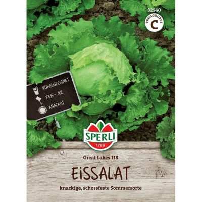 82540 - Lactuca sativa "Iceberg Great Lakes 118"