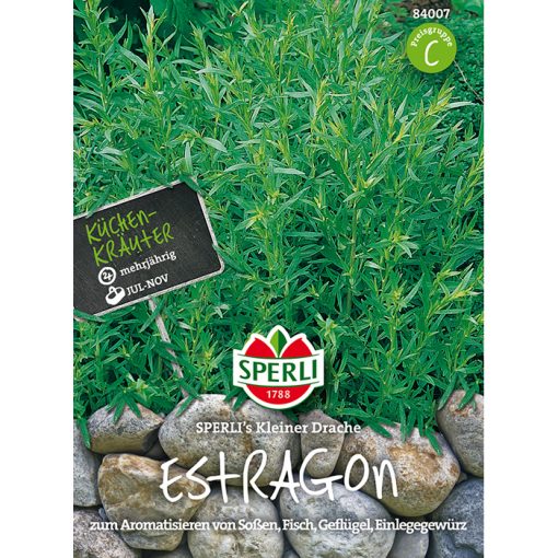 84007 - Εστραγκόν - Artemisia dracunculus