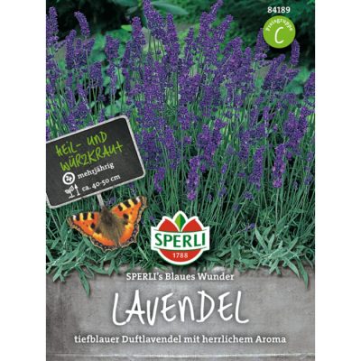 84191 - Lavandula angustifolia