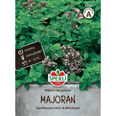 84228 - Μαντζουράνα - Origanum majorana