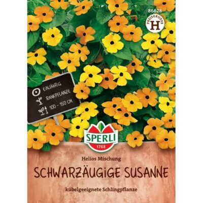 86628 - Thunbergia alata