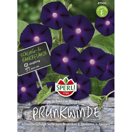 87500 - Ιπόμεα μαύρη μοβ - Ipomoea purpurea