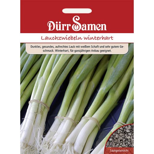 DS0983 - Κρεμμυδάκι λευκόσαρκο - Allium fistulosum