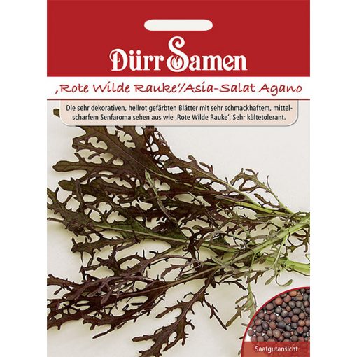 DS1038 - Ρόκα άγρια κόκκινη - Σινάπι - Brassica jucea "Agano"