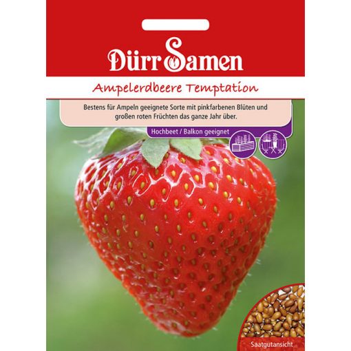 DS1101 - Φράουλα μεγαλόκαρπη - Fragaria vesca