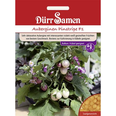 DS4157 - Μελιτζανάκι - Solanum melongena "Pinstripe F1"