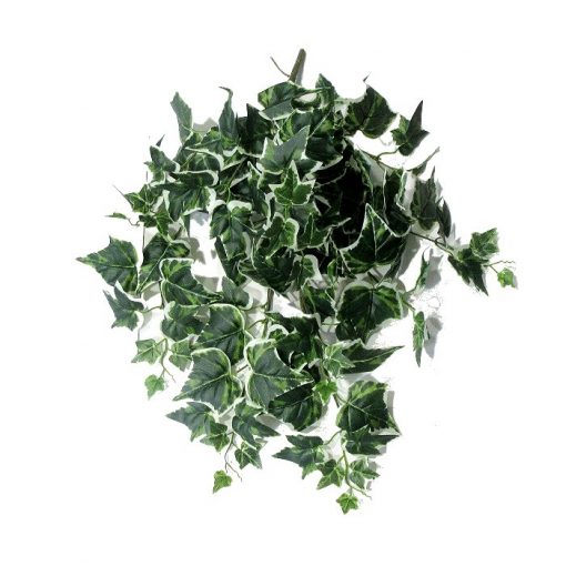 Τεχνητό κρεμαστό φυτό – Κισσός Δίχρωμος x 120 φύλλα 310495