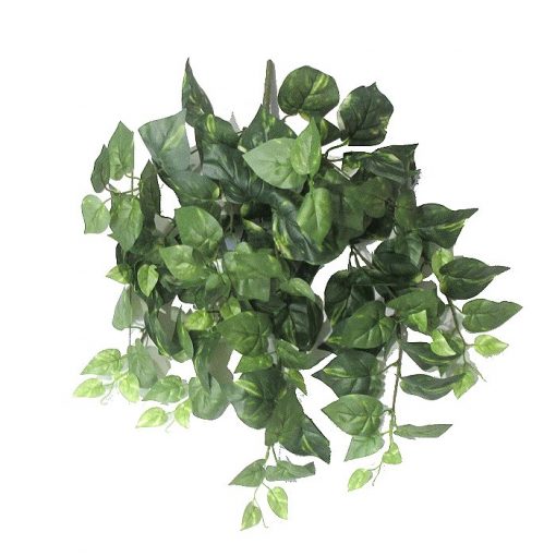 Artificial hanging plant – Pothos x 120 leaves 310495