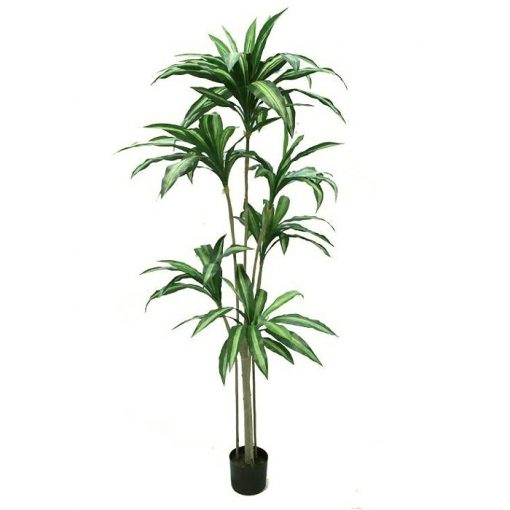 Artificial plant – Dracaena Massangeana x 6 316500