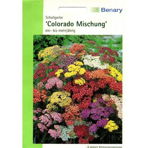 A0160 - Αχιλλέα πολύχρωμη μείγμα - Achillea millefolium "Colorado Mix"