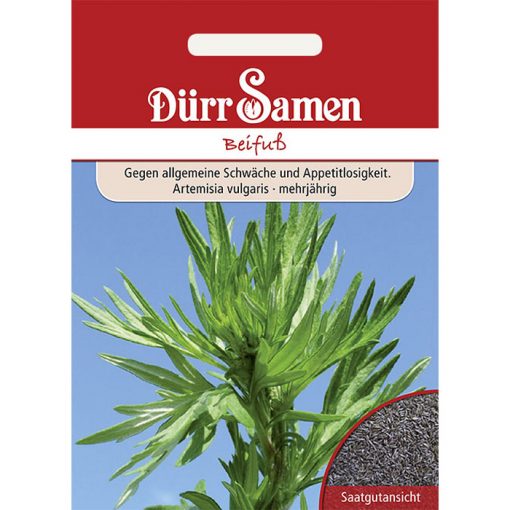 DS0173 - Αρτεμισία κοινή Αψιθιά Λεβιθόχορτο - Artemisia vulgaris