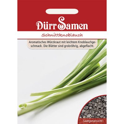 DS0549 - Allium tuberosum