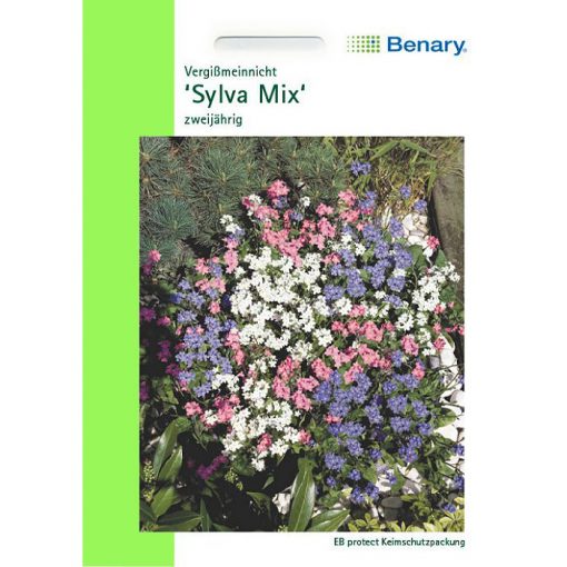 S1900 - Μη με λησμόνει μέίγμα - Myosotis sylvatica "Sylva Mix"