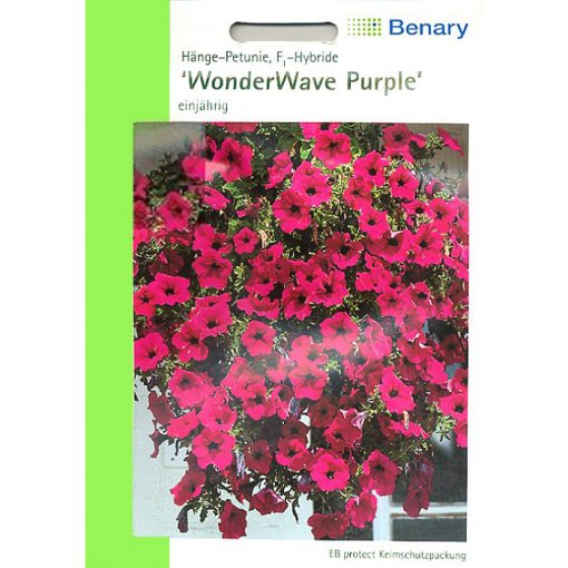 T0200 - Petunia hybridica "WonderWave Purple"