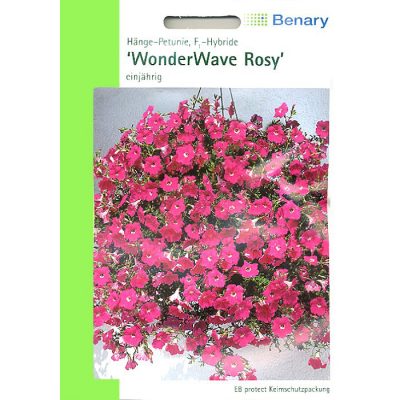 T0230 - Πετούνια υβρίδιο ροζ φουξ κρεμαστή - Petunia hybridica "WonderWave Rosy"