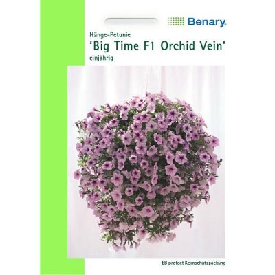 T0360 - Πετούνια υβρίδιο ροζ κρεμαστή - Petunia hybridica "Big Time F1 Orchid Vein"