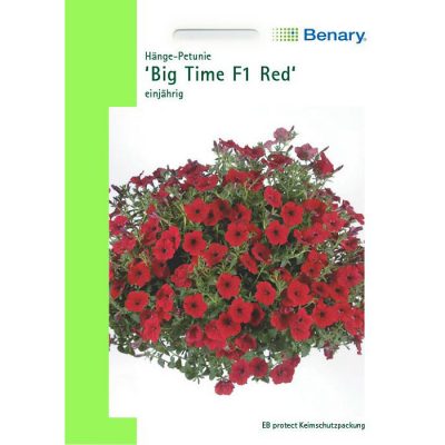 T0390 - Πετούνια υβρίδιο κόκκινη κρεμαστή - Petunia hybridica "Big Time F1 Red"