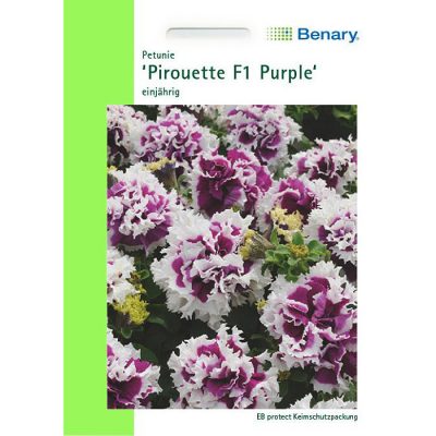 T0398 - Petunia hybridica "Pirouette Purple"