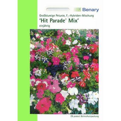 T1910 - Πετούνια υβρίδιο κοντή μείγμα – Petunia hybridica "Hit Parade Mix"