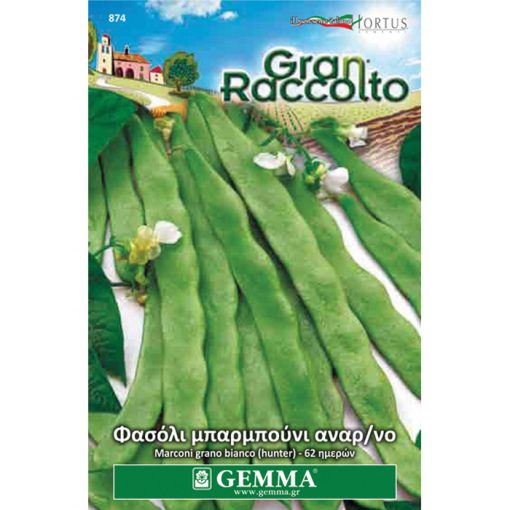 FAG 874 - Phaseolus vulgaris "Marconi Grano Bianco"