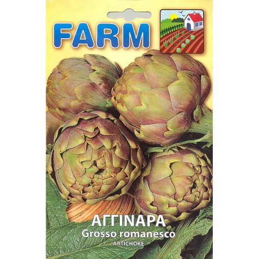 FARM 109 - Cynara scolymus
