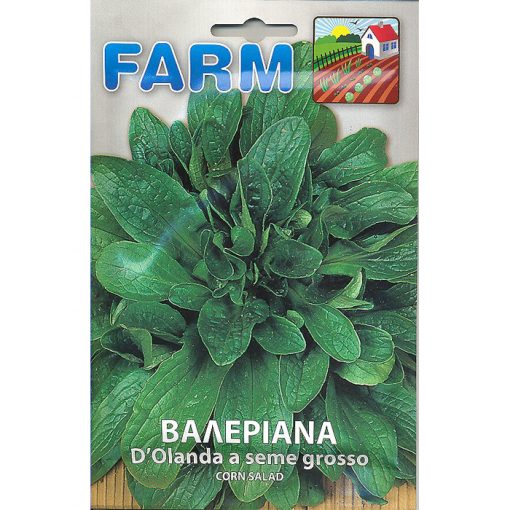 FARM 503 - Valerianella locusta