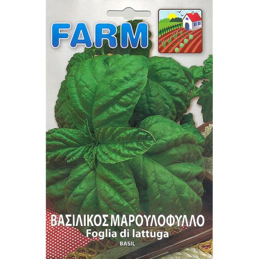 FARM 506 - ΒΑΣΙΛΙΚΟΣ ΙΤΑΛΙΚΟΣ ΜΑΡΟΥΛΑΤΟΣ - Ocimum basilicum