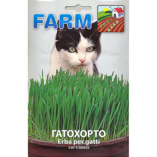 FARM 508 – Cat Grass - Avena Sativa