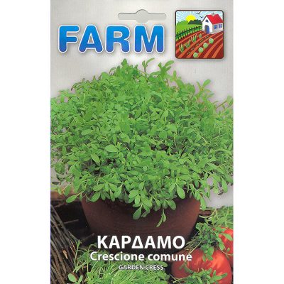 FARM 515 - Lepidium sativum