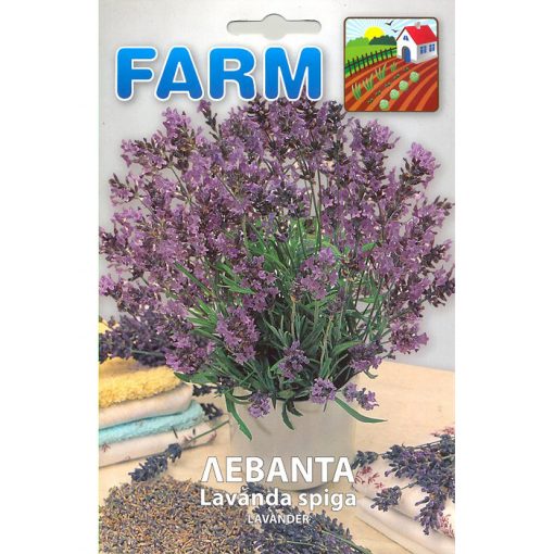 FARM 518 - Lavandula spica