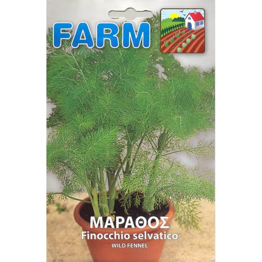 FARM 519 - Foeniculum vulgare