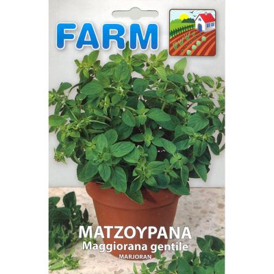 FARM 520 - ΜΑΤΖΟΥΡΑΝΑ - Majorana hortensis