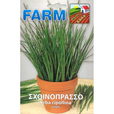 FARM 527 - ΣΧΟΙΝΟΠΡΑΣΣΟ - Allium schoenoprasum
