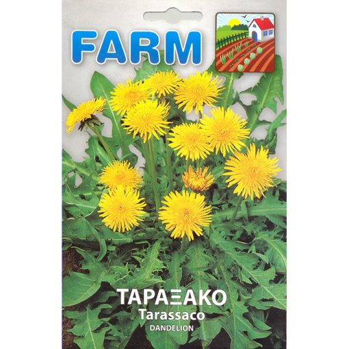 FARM 528 - ΤΑΡΑΞΑΚΟ - Taraxacum officinale