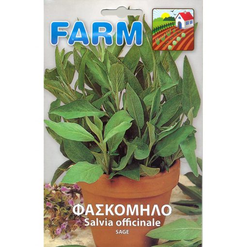FARM 529 - ΦΑΣΚΟΜΗΛΟ - Salvia officinalis