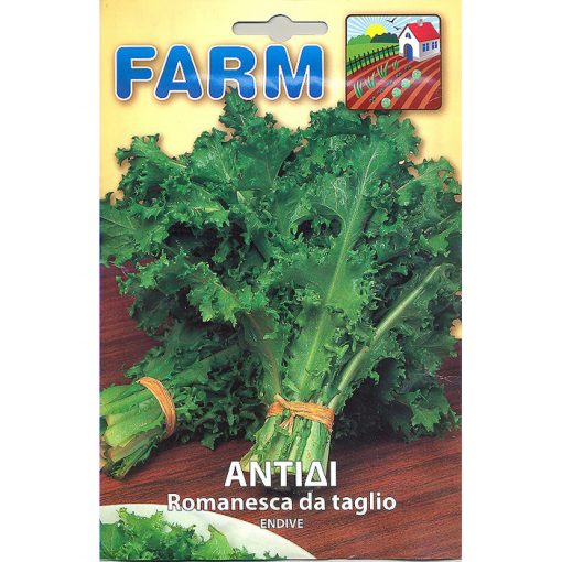 FARM 111 - ΑΝΤΙΔΙ ΟΡΘΙΟ – Cichorium endivia var. crispum