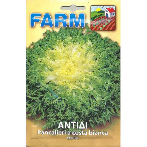 FARM 112 - ΑΝΤΙΔΙ ΚΑΤΣΑΡΟ – Cichorium endivia var. crispum