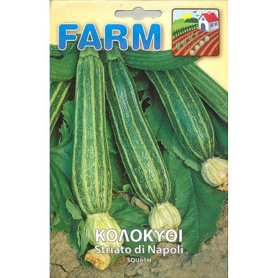 FARM 130 - Cucurbita pepo