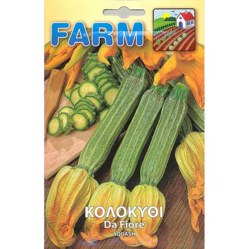 FARM 131 - Cucurbita pepo