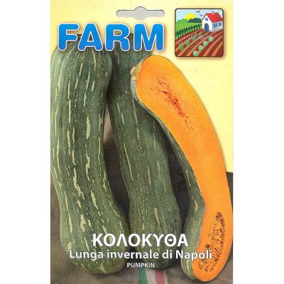 FARM 134 - Cucurbita moschata
