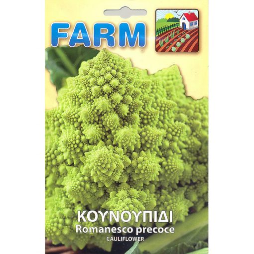 FARM 142 - ΚΟΥΝΟΥΠΙΔΙ ROMANESCO - Brassica oleracea var. botrytis