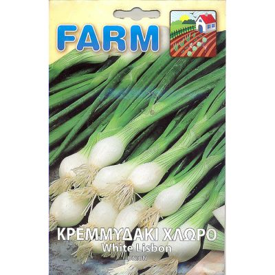 FARM 143 - ΚΡΕΜΜΥΔΑΚΙ ΧΛΩΡΟ - Allium cepa