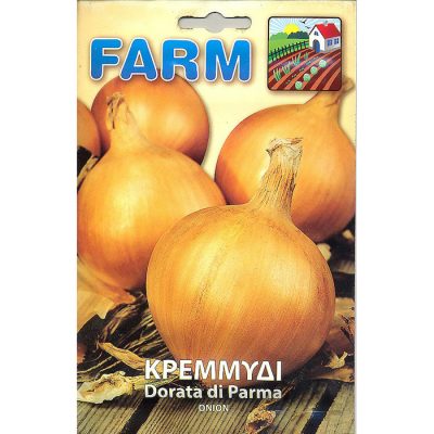 FARM 146 - ΚΡΕΜΜΥΔΙ ΞΑΝΘΟ - Allium cepa