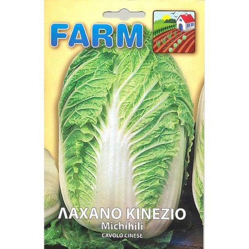 FARM 152 - ΛΑΧΑΝΟ ΚΙΝΕΖΙΚΟ - Brassica pekinensis