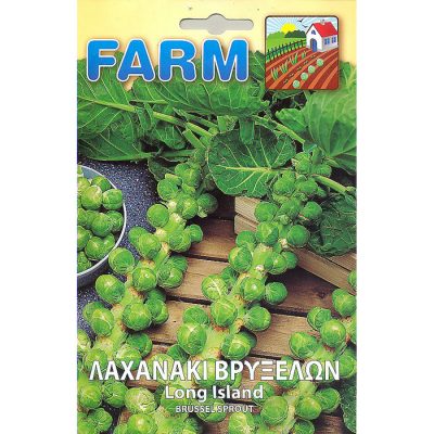 FARM 153 - ΛΑΧΑΝΑΚΙ ΒΡΥΞΕΛΛΩΝ - Brassica oleracea gemmifera