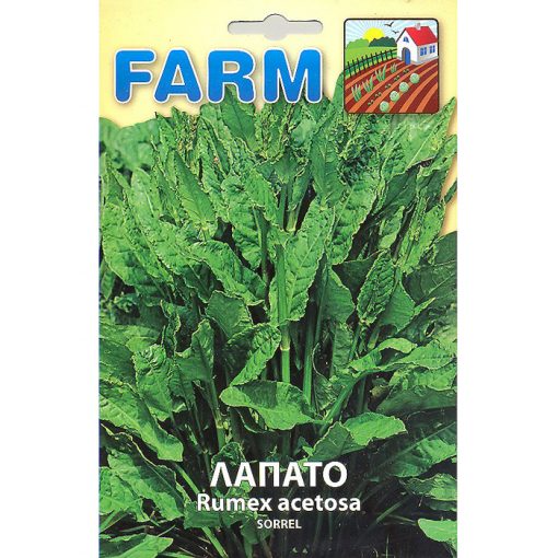 FARM 154 - ΛΑΠΑΤΟ - Rumex acetosa