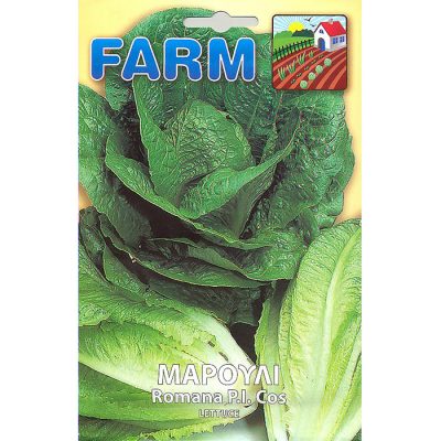 FARM 159 - Lactuca sativa
