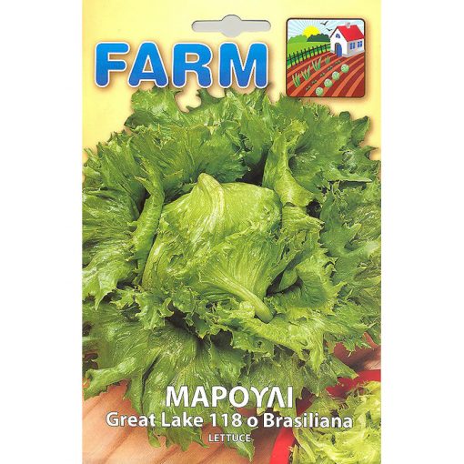 FARM 161 - ΜΑΡΟΥΛΙ GREAT LAKES - Lactuca sativa